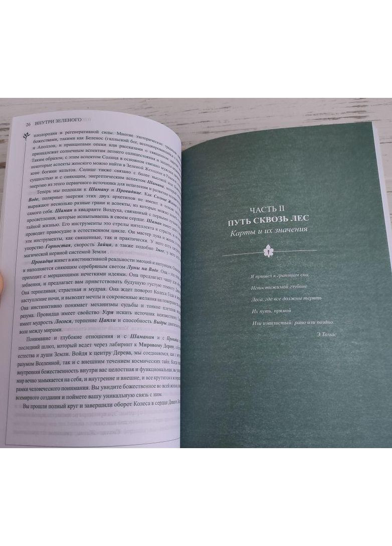 Подарунковий набір колода і книга Таро дикого лісу Wildwood Tarot No Brand (351372661)