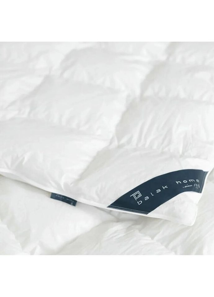 Одеяло евро Cote Blanc пухово-кассетное 1-04087-00000 200х220 см белое ТЕП (335584815)