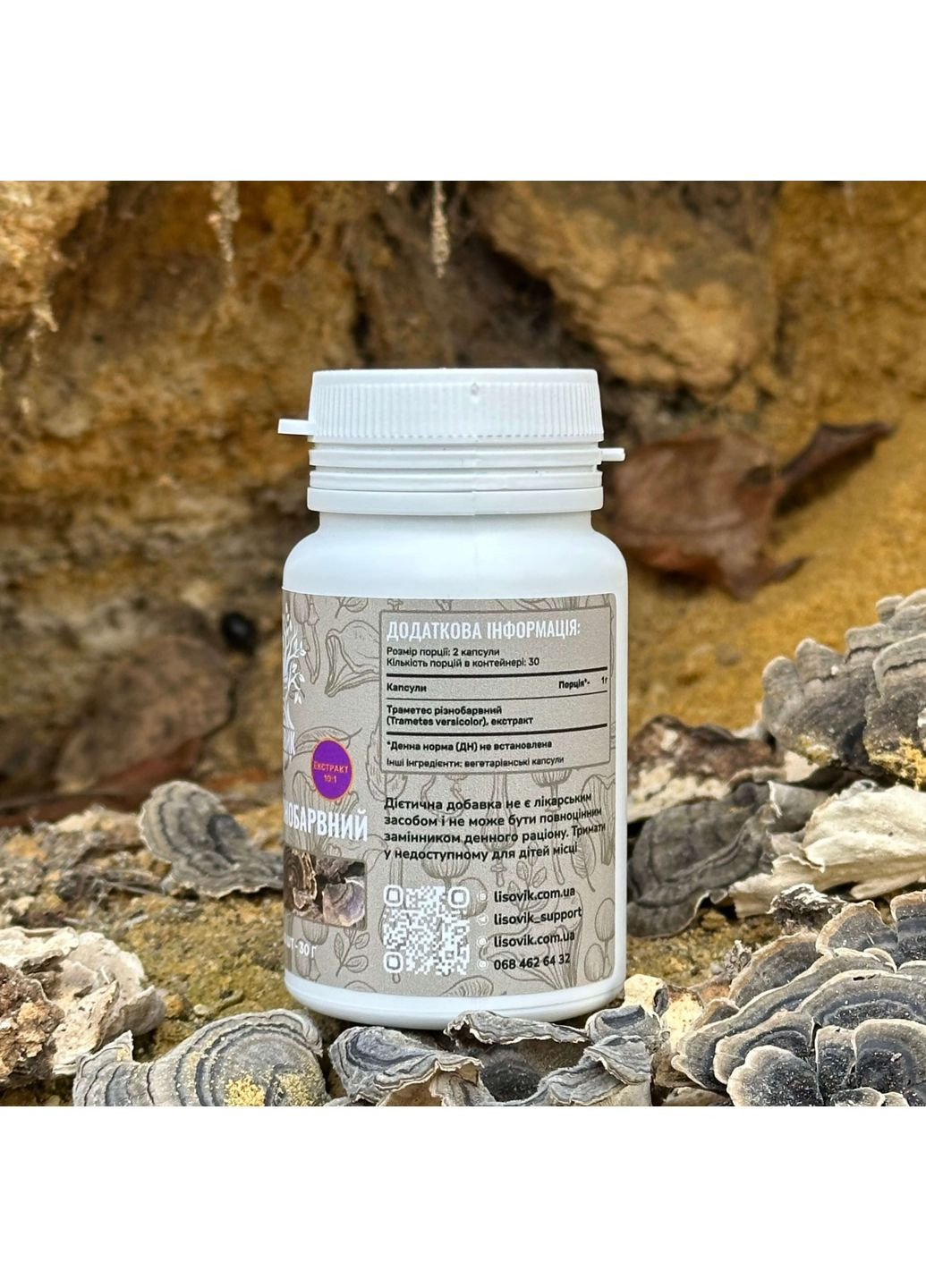 Гриб Траметес разноцветный, экстракт 10:1, капсулы 60 шт по 0.5 г Лісовик (334293107)