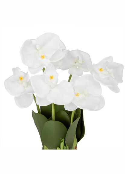 Букет орхідей 33 см, білий (8931-016) ELISEY Квіти (331753948)