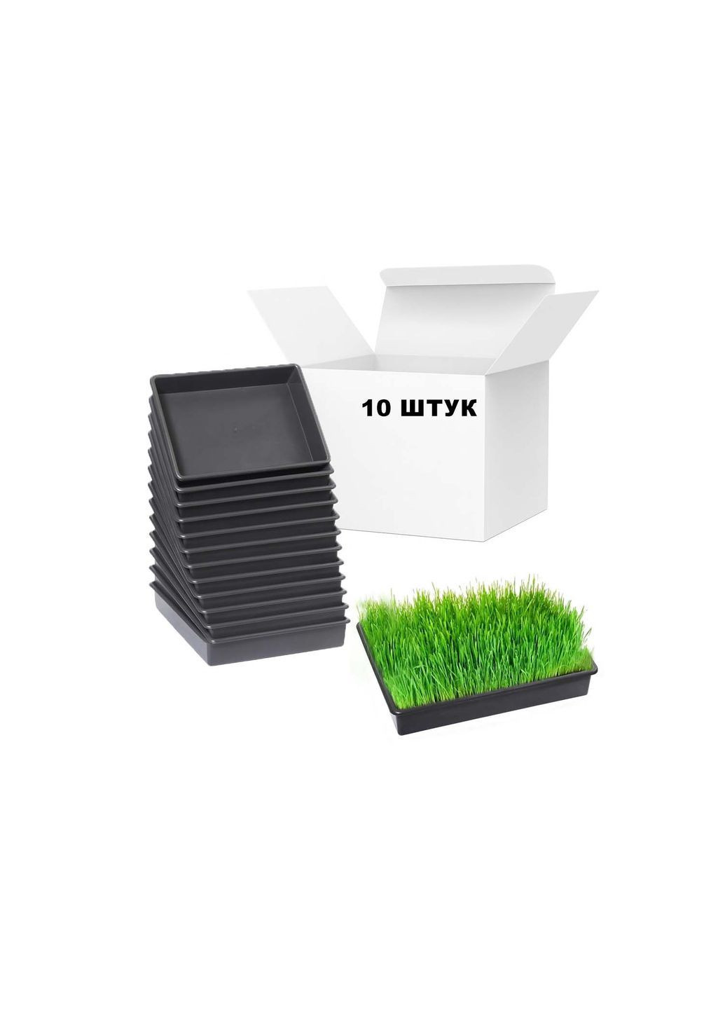 Комплект із 10 лотків піддонів для розсади 40×26×8,5 см (9 л) Господар (365549402)