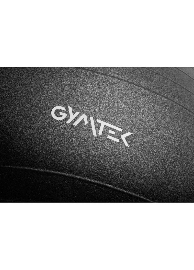 Фітбол 65см + насос Gymtek (303127072)