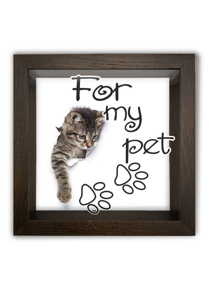 Деревянная копилка (копилка) 20х20 см For my pet хркп0010ка Тур-Колекшн (358221406)