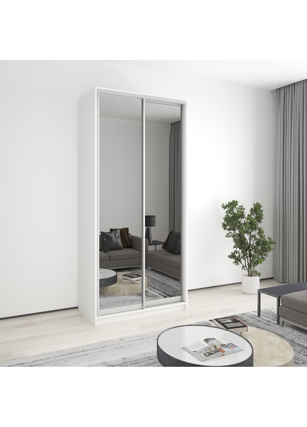 Шкаф-купе двухдверный Стандарт AL 2 Зеркала 110x60x240 см (MBS-3853) MebelStar (362373888)