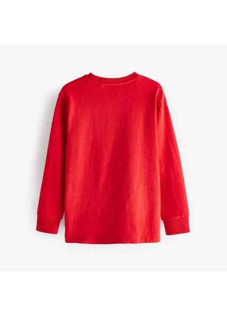 Разноцветный демисезонный лонгслив Next Trend