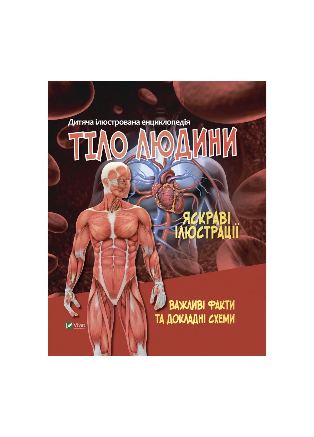 Книга Тело человека. Важные факты и подробные схемы (1358441) Vivat (299630252)