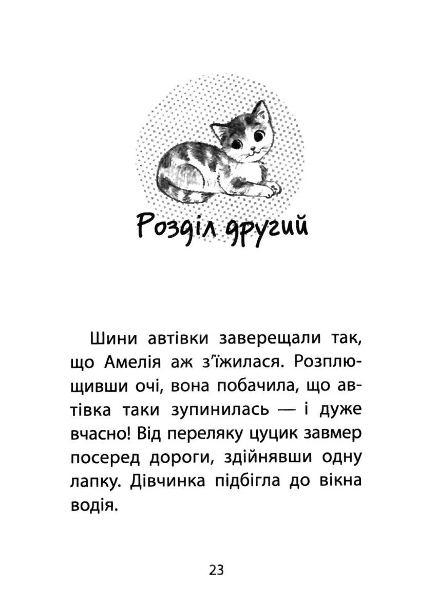 Історії порятунку. Книга 1. Котик-безхатько АССА (370068210)