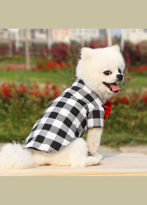 Рубашка для котов и кошек Pet Style "Бабочка" Чернобелая XS No Brand - (323237599)