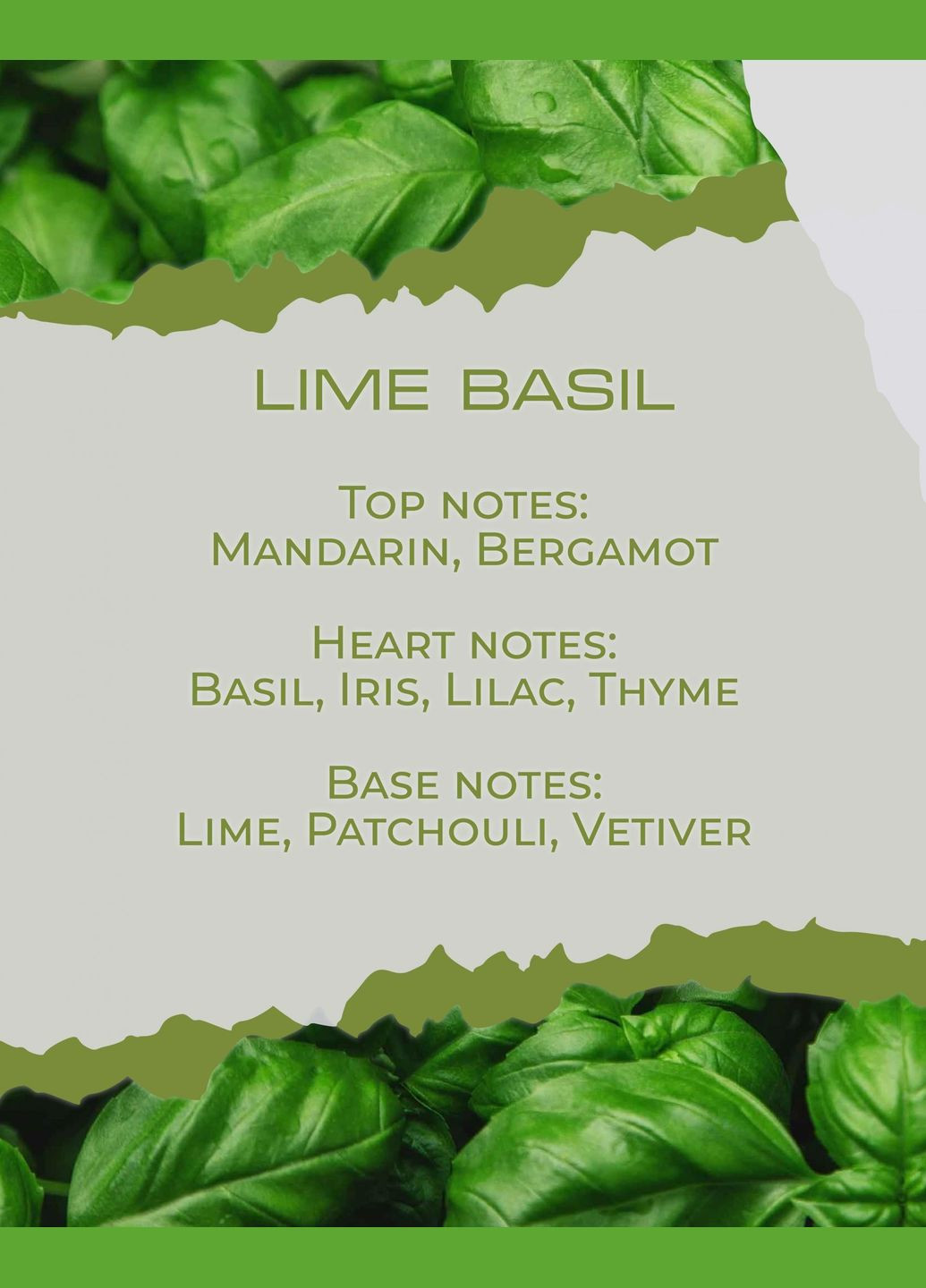 Дифузор BASIL (цитрусовий аромат лайм та базилік) BY VELCHEVA LIME (333032185)