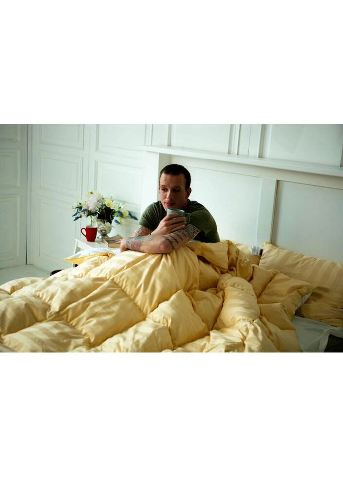 Ковдра антиалергенна Carmela 032 демі 140x205 см (2200000003881) Mirson (314714207)