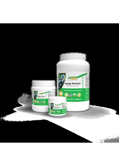 Файв МУЛЬТІ NPK 20-20-20+6CaO+3MgO+TE No Brand (363041027)