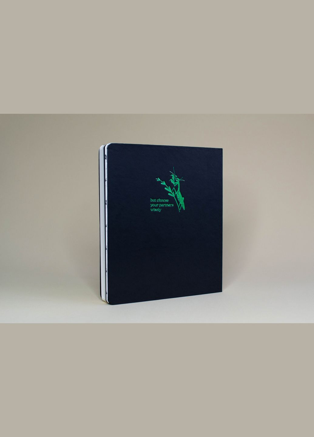 Один. Ноль Богомол Черный 4 вида бумаги 96 листов Один.Нуль Скетчбук (305834245)