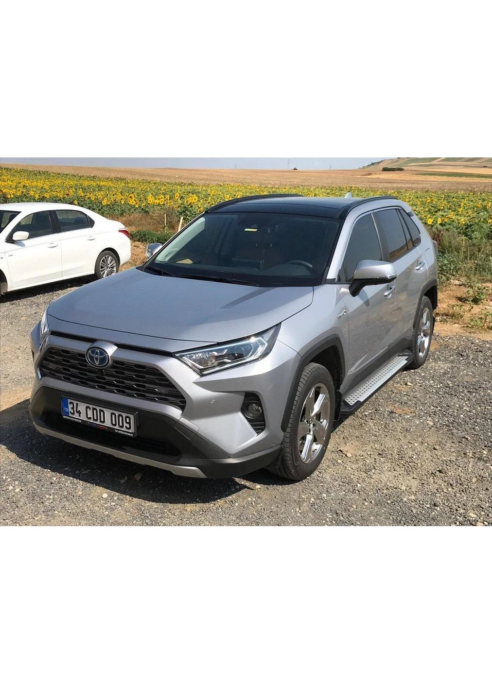 Бокові пороги Allmond Grey (2 шт., алюміній) для Toyota Rav 4 2019- рр Erkul (392196030)