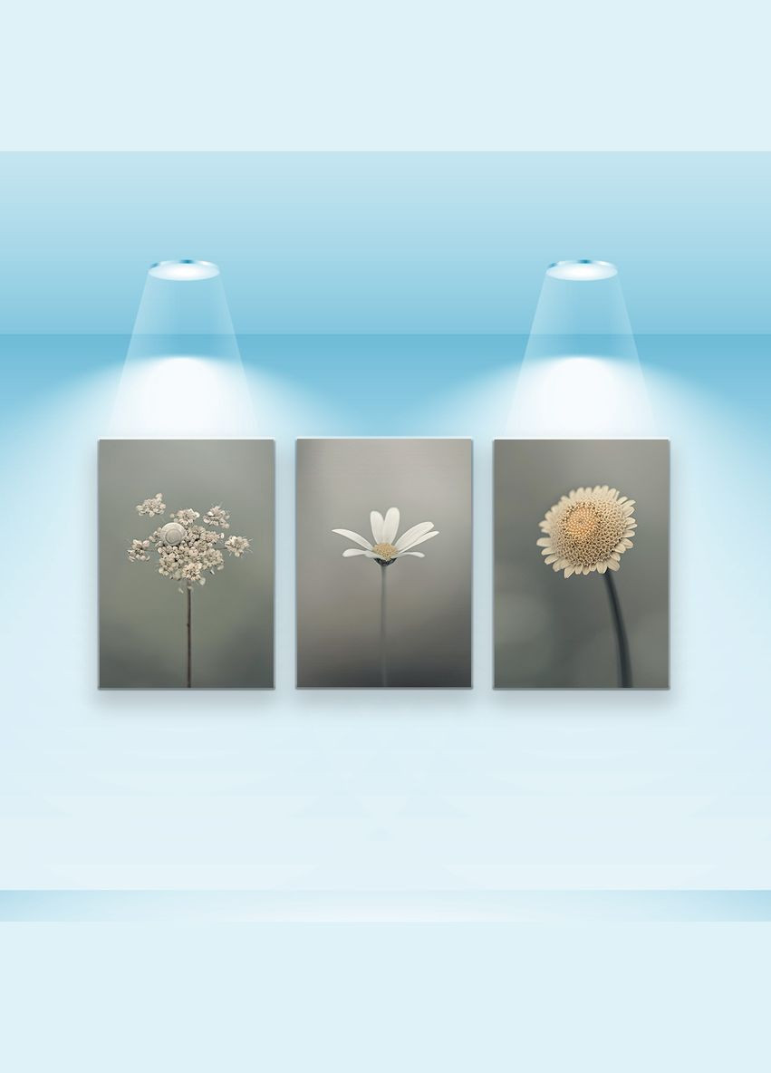 Набор постеров Цветочная мгла (PS-002) 3 шт. Riviera Blanca (303135454)