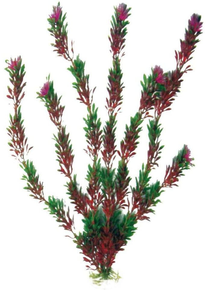 Рослина пластикова водорості CROCI FLORA CLASSIC SM штучна, Декорація для акваріума 12+ см A8011182 Chico'S (278308730)