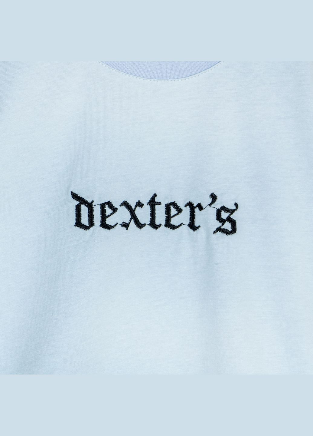 Комплект футболка та шорти з вишивкою Dexters Блакитний dexter's (335130753)