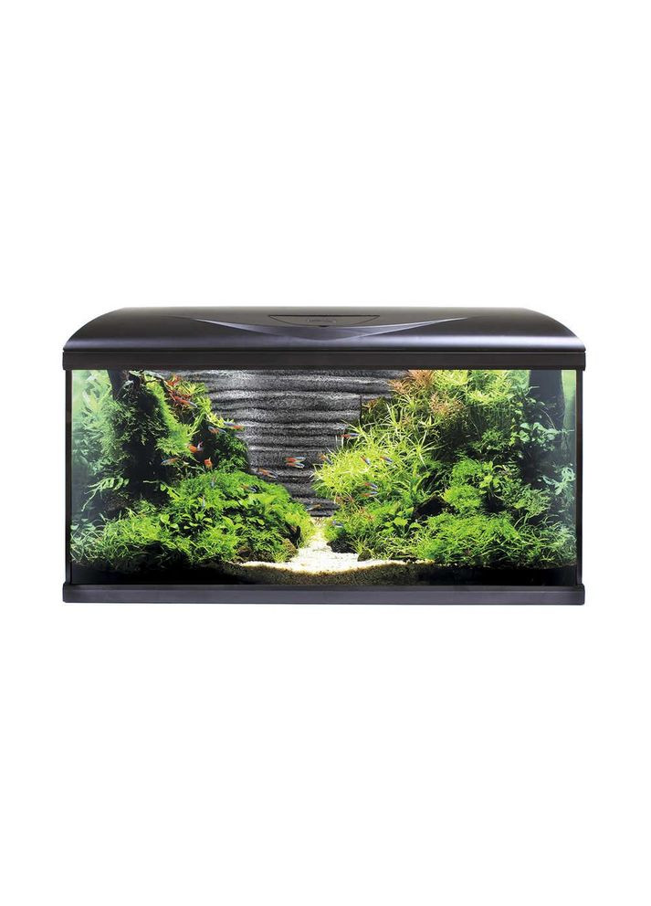 Аквариум на 85 л с фоном Камни, светодиодным освещением, фильтром и обогревателем SYSTEM 80 LED (*) STREAM (304424794)