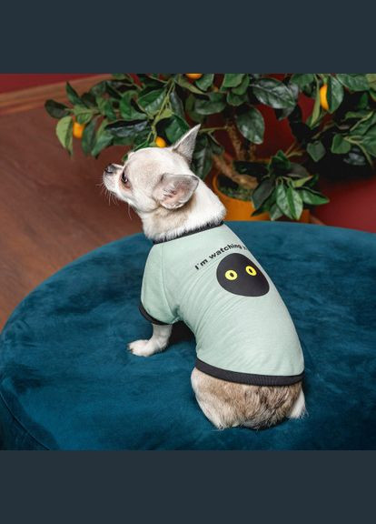 Футболка Oscar для собак бавовна трикотаж рібана блакитна (*) Pet Fashion (323219814)