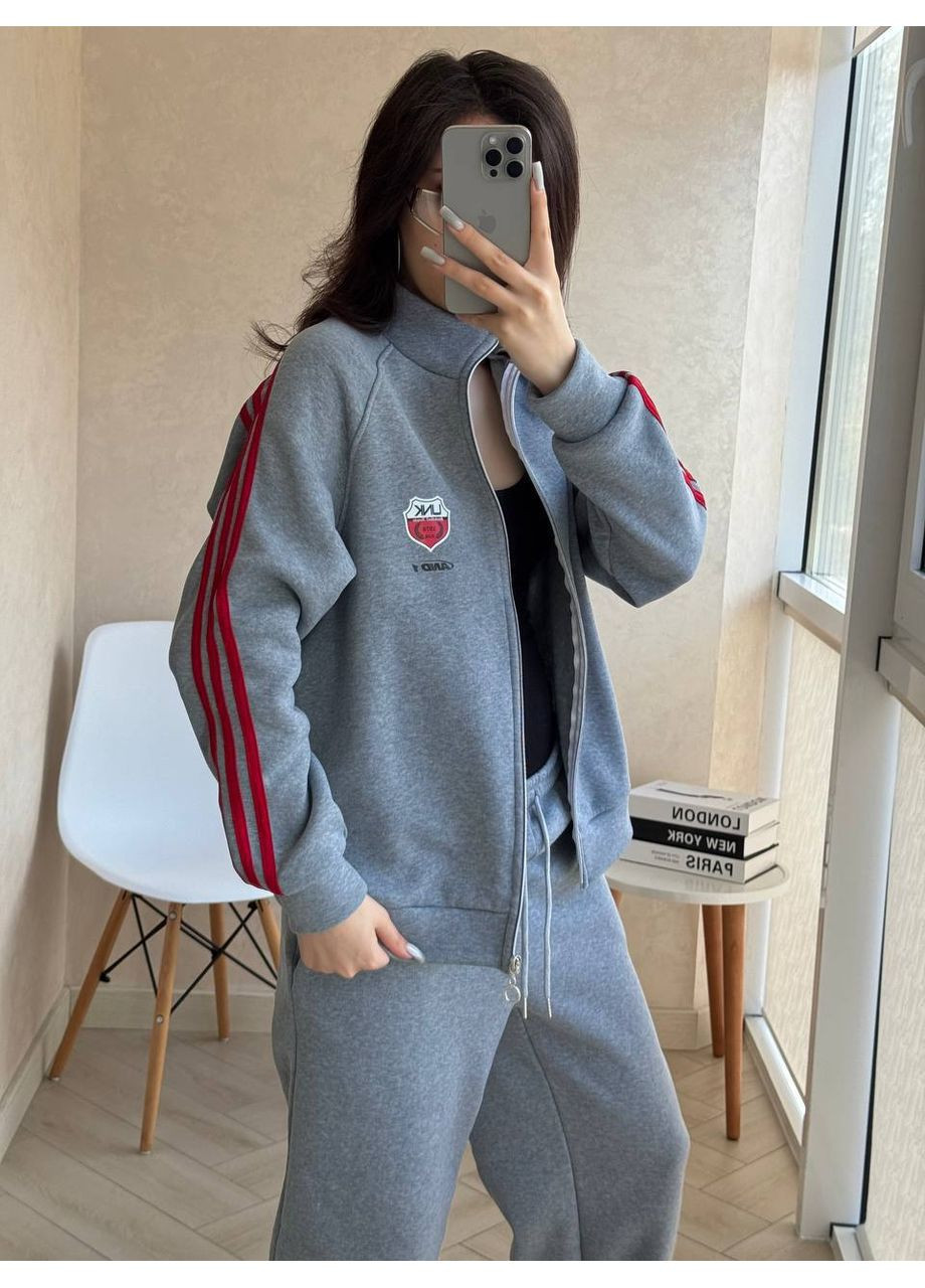 Костюм 2-я из тринитки на флисе (худые + брюки) — ЗАМЕРЫ В ОПИСАНИИ DK/DL Мода без кордонів (372444500)