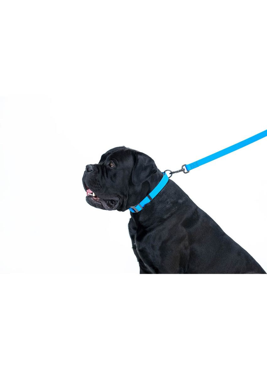 Повідець для собак водостійкий Waterproof, S, Ш 15 мм, Дов 122 см блакитний WAUDOG (322643128)