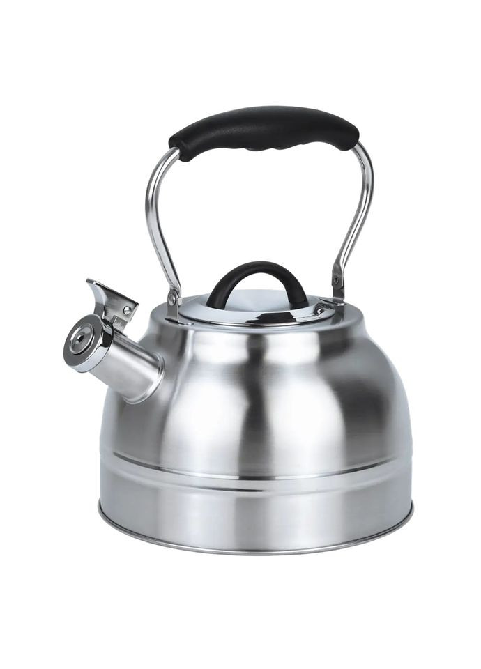Чайник зі свистком Віконт GT-1424-25 2.5 л сріблястий Gusto (362263810)