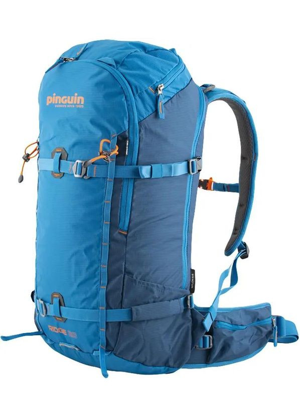 Рюкзак Ridge 28 2020 к: petrol Pinguin (316439038)
