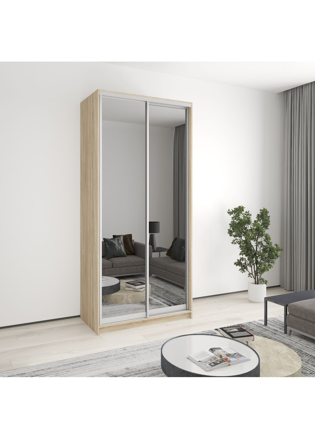 Шкаф-купе двухдверный Стандарт AL 2 Зеркала 110x45x240 см (MBS-3808) MebelStar (359449188)