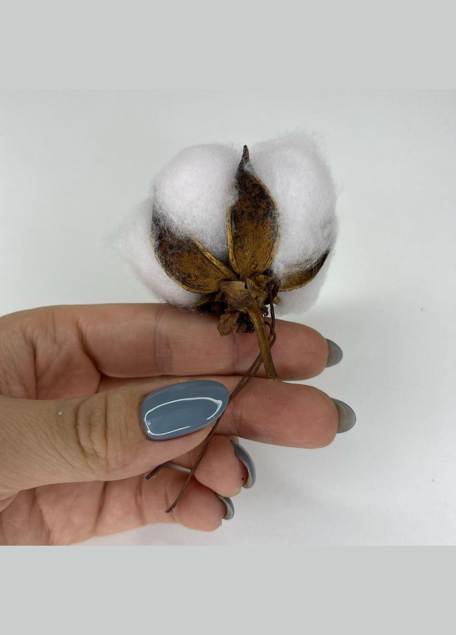 Матеріали для флористики Бавовна декоративна Біла 7 см х 5 см х 2.5 см Finding (316251304)