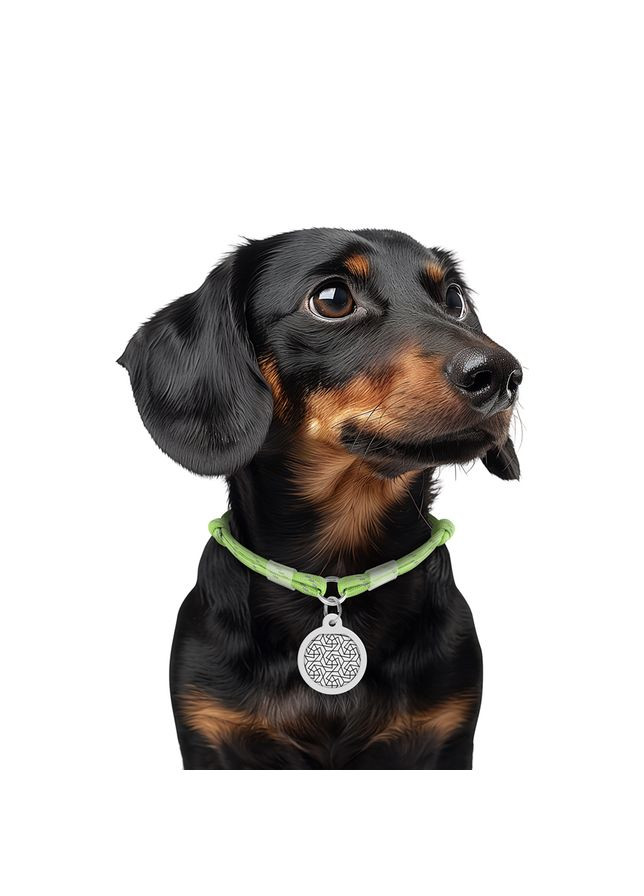 Ошейник WAUDOG (336964403)