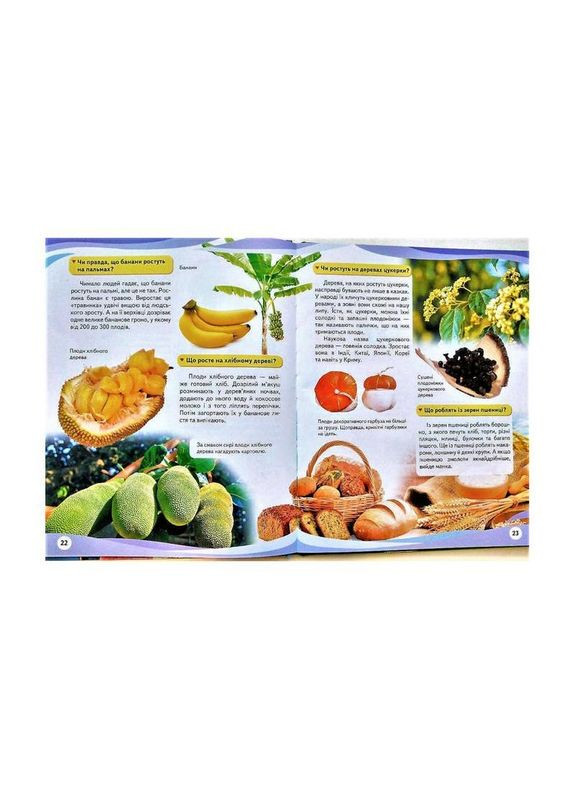 Книга Почемусики. Энциклопедия по вопросам и ответам. Автор - Анна Тетельман ( ) Пегас (338880637)