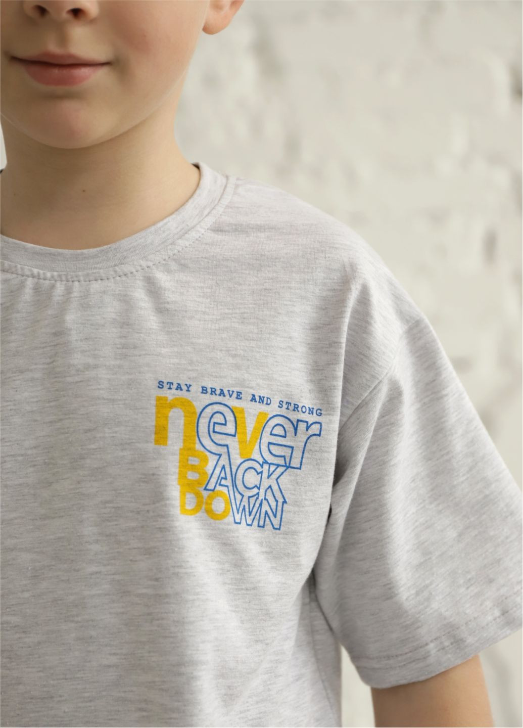 Светло-серая летняя детская футболка для мальчика ft-25-18 GABBI