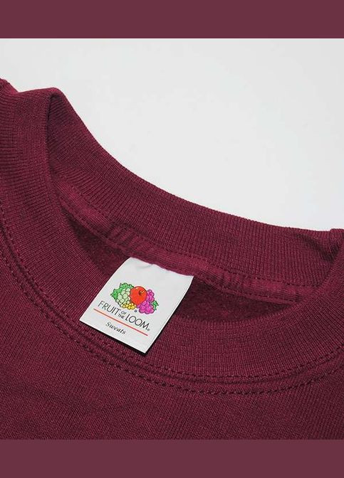 Кофта дитяча Classic set-in sweat kids (062041041164) Fruit of the Loom (315938015)