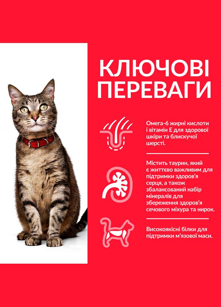 Сухий корм для котів Hill's Chicken із куркою 1.5 кг 607644 HILLS (266274222)