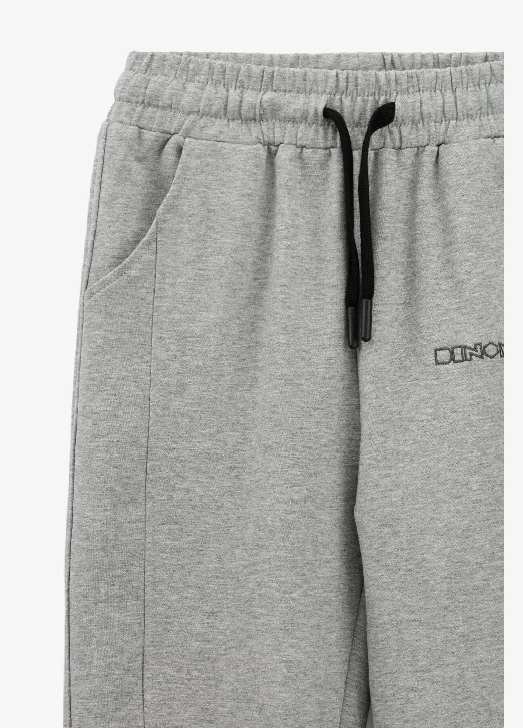 Серые спортивные демисезонные брюки Lizi Kids