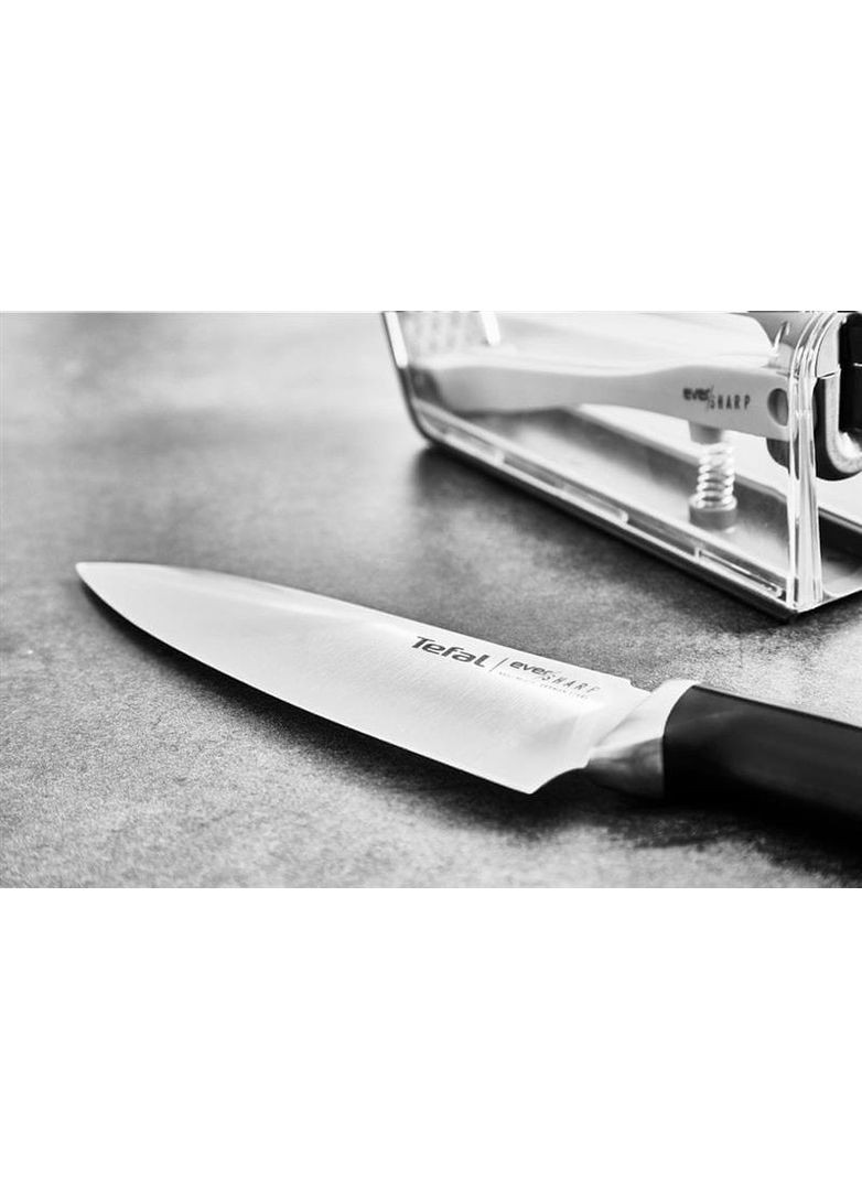 Нож (K2569004) Tefal (351855584)