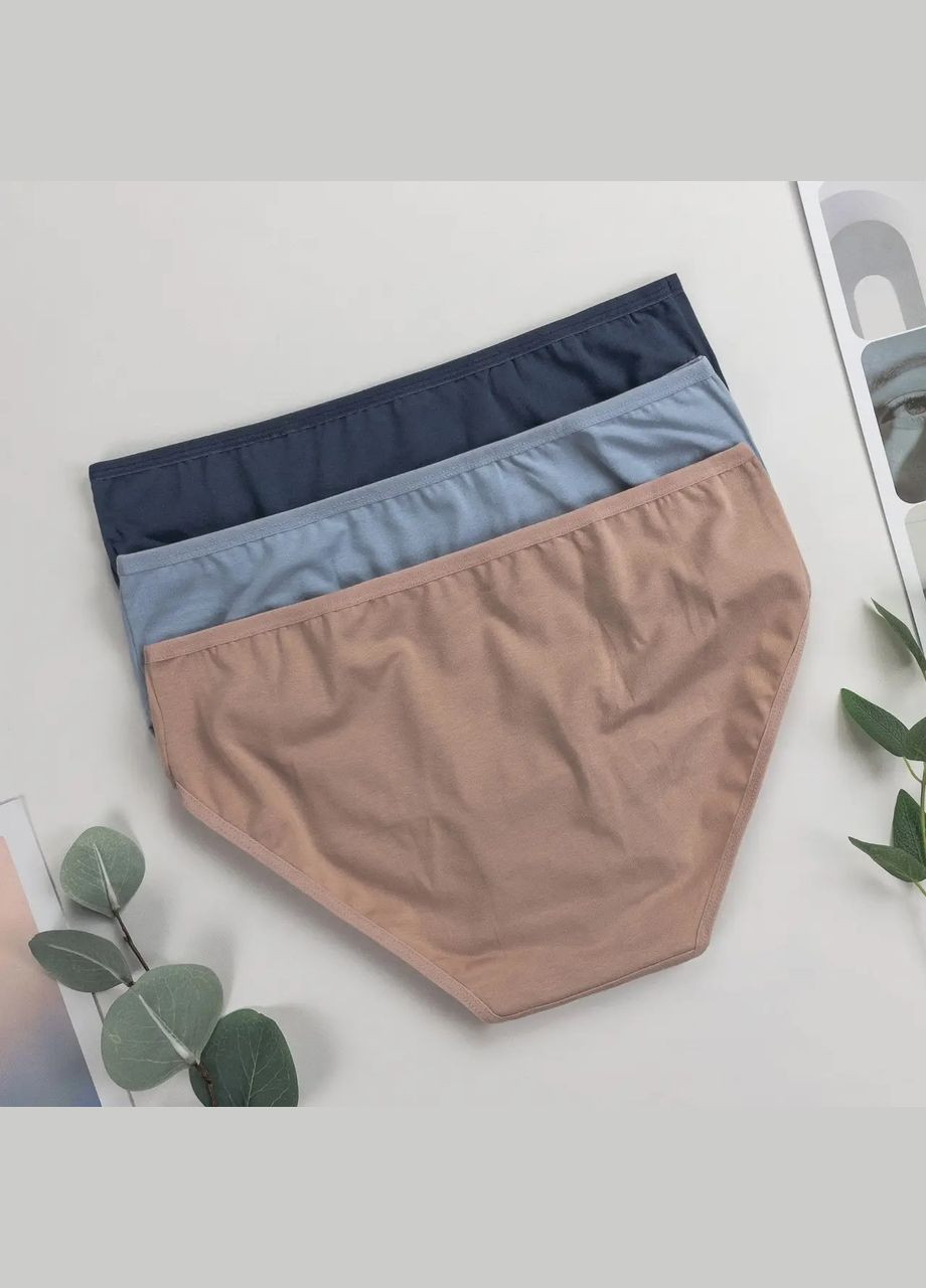 Трусики-сліпи жіночі трійки 3 шт Dominant (340462298)