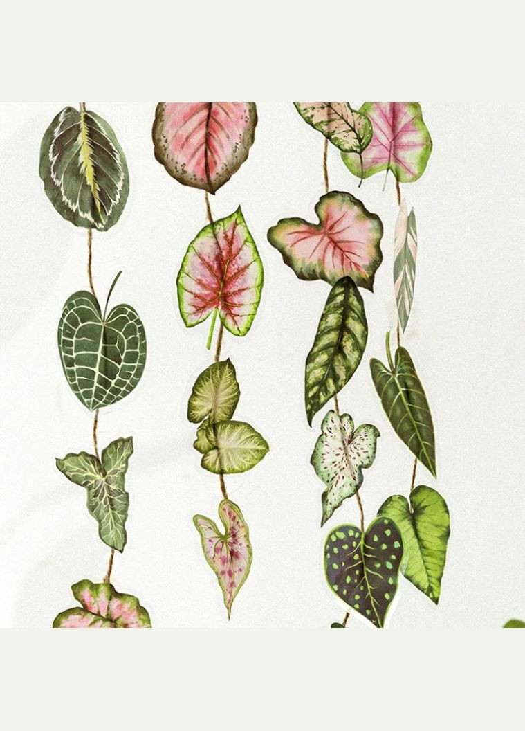 Набір ботанічних наліпок №4 “Листя рослин” 20 шт, для декору, творчості, скрапбукінгу та конспектів з біології No Brand (335426667)