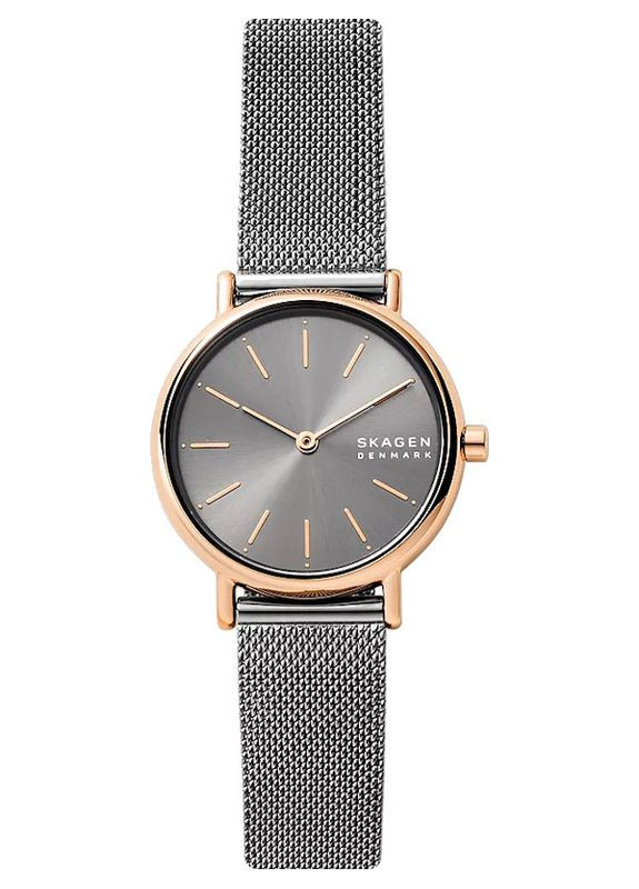 Женские наручные часы SKW2996 Skagen (368297598)