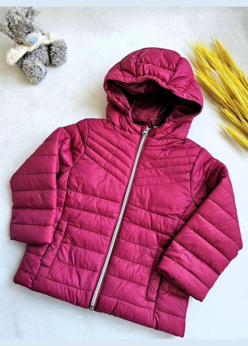 Бордова демісезонна куртка демісезонна з капюшоном Lupilu Куртка