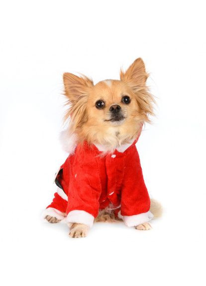 Новогодний костюм для котов и кошек Pet Style "Дед Мороз" Красный L No Brand - (323236379)