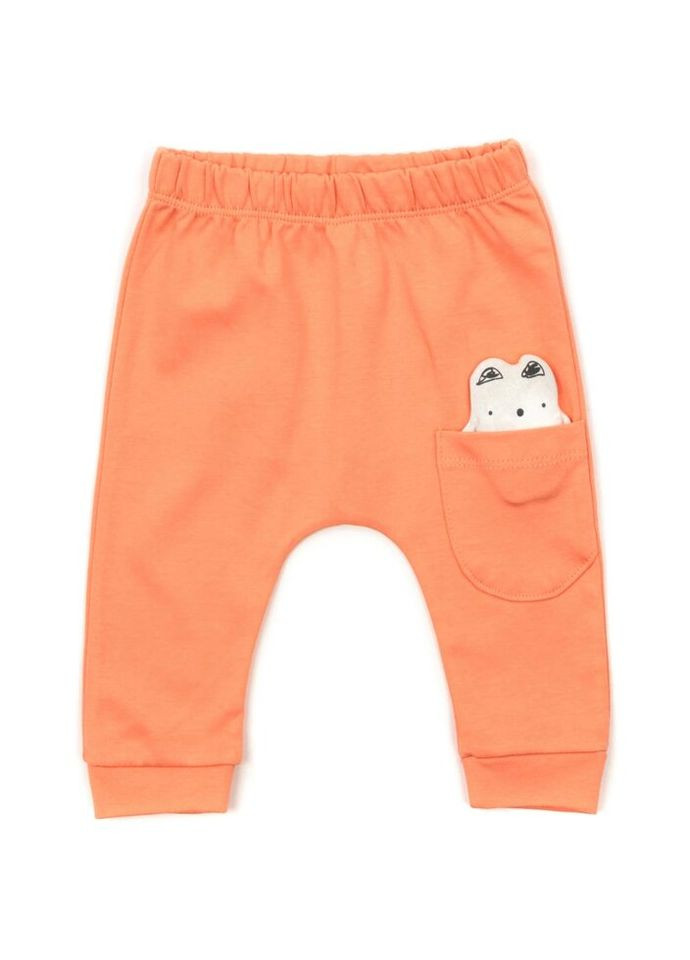 Комбінований демісезонний набір дитячого одягу з котиками (16317-68b-orange) Miniworld