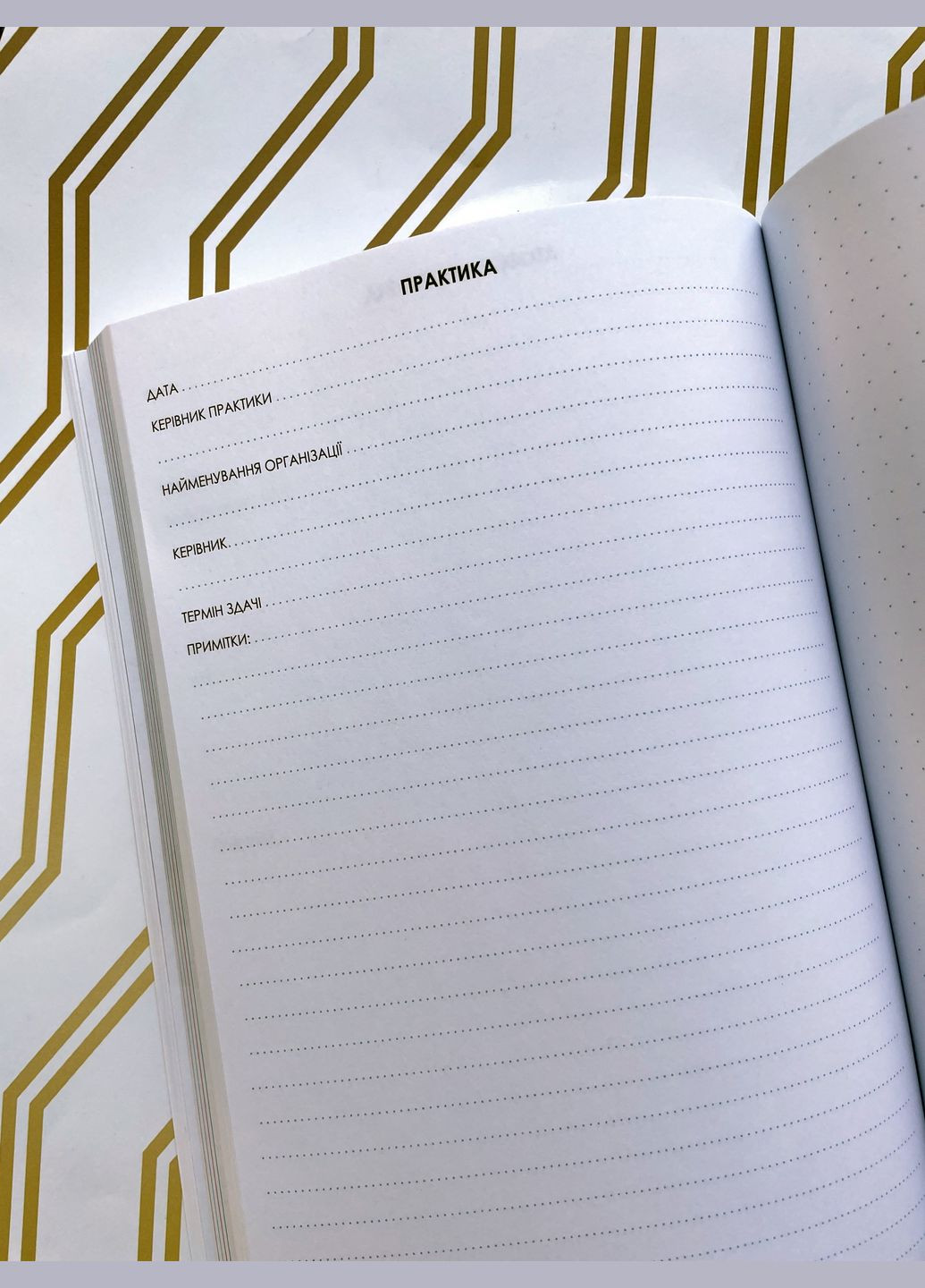 Планер Студента Графіті Figasse 514 (300358797)