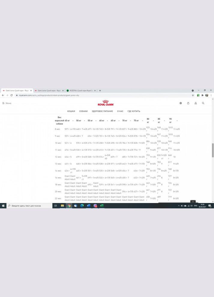 Сухой корм Giant Junior для щенков гигантских пород от 8 месяцев 15 кг (3182550707077) Royal Canin (279572750)