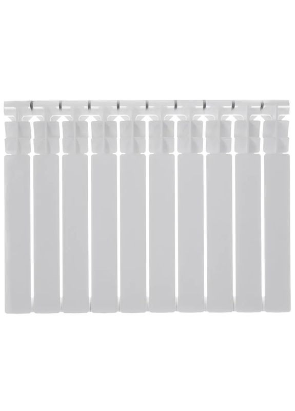 Радіатор секційний Bitherm 100 Bimetal-500L (BT0557) Biotherm (315443779)