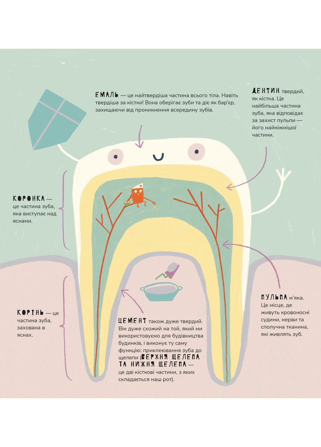 Книжка про зуби Mamino (370119128)