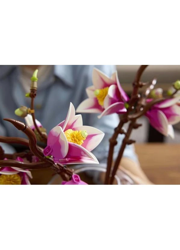 Конструктор ® Botanicals Ветки магнолии 435 Деталей (11510) Lego (380931910)