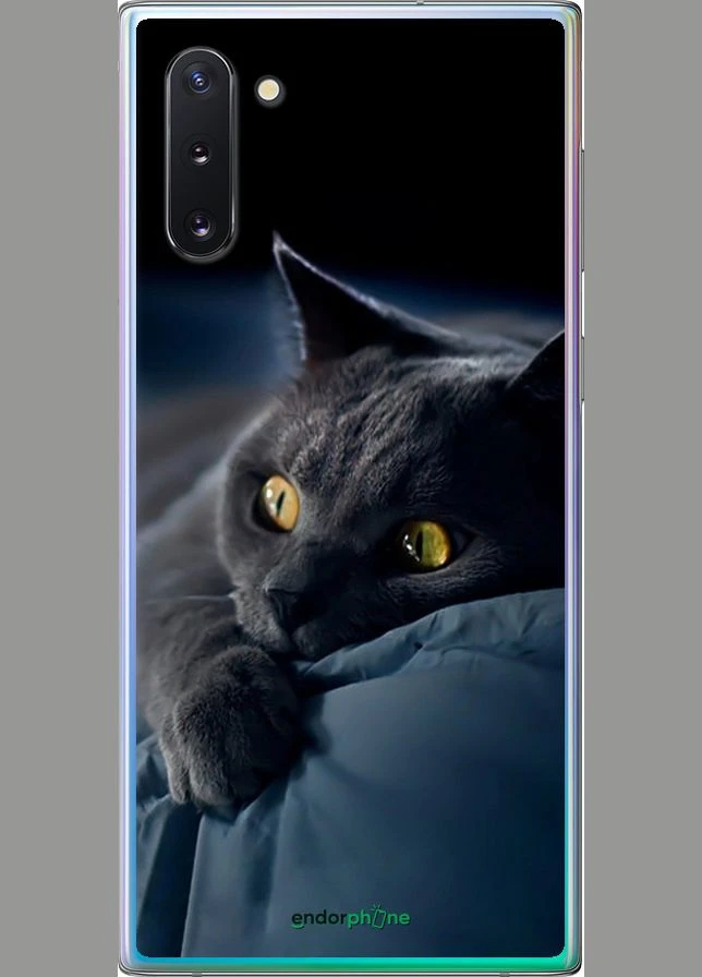 Чехол на Samsung Galaxy Note 10 Дымчатый кот "825u-1718-70447" Endorphone (339875609)