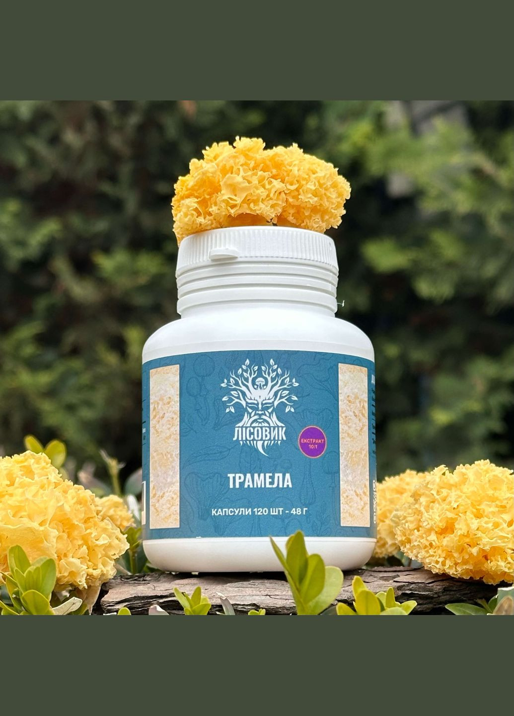 Тремелла, экстракт 10:1, капсулы 120 шт по 0.4 г Лісовик (334292996)