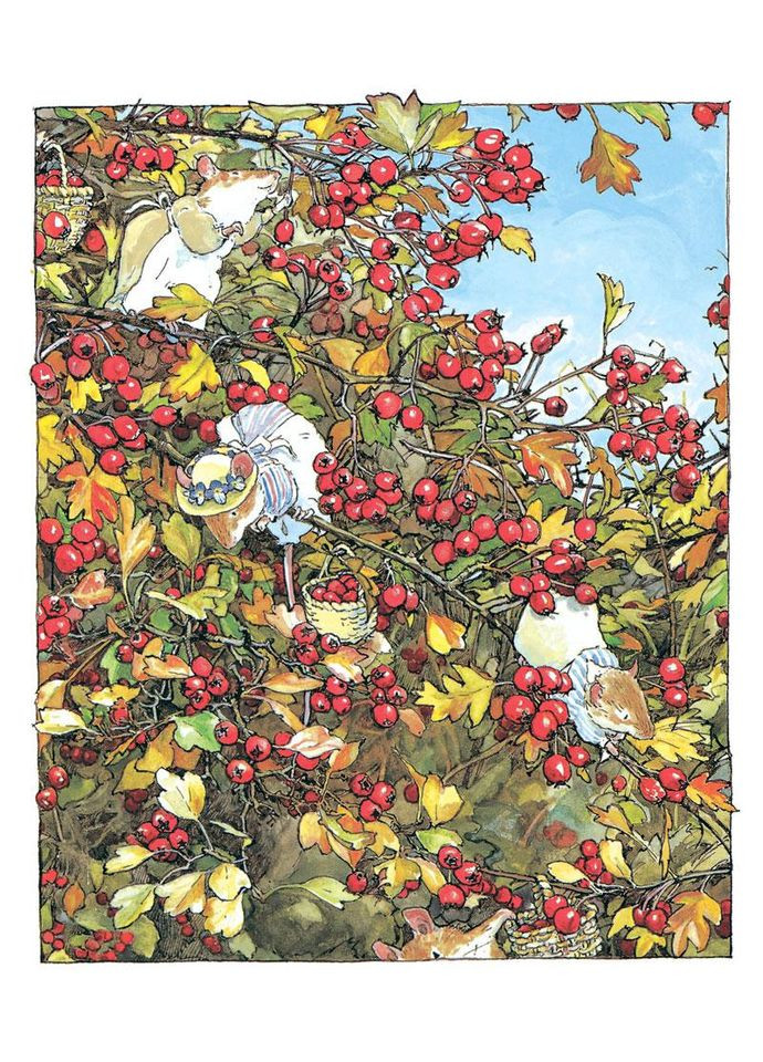 Книга Ожиновий живопліт. Осіння історія Читариум (273239017)