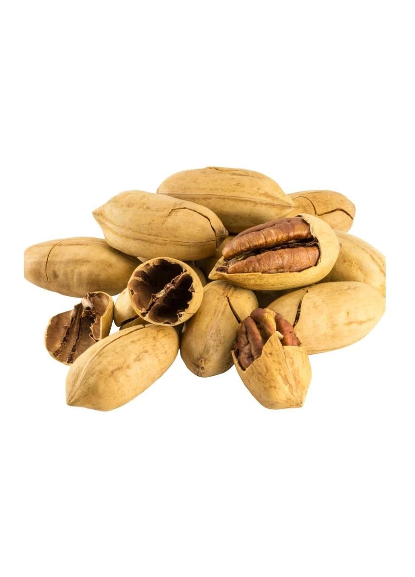 Пекан жареный в скорлупе 500 г nuts-khm (388334004)